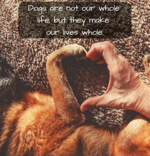 Dogs are not our whole life, but they make our lives whole.