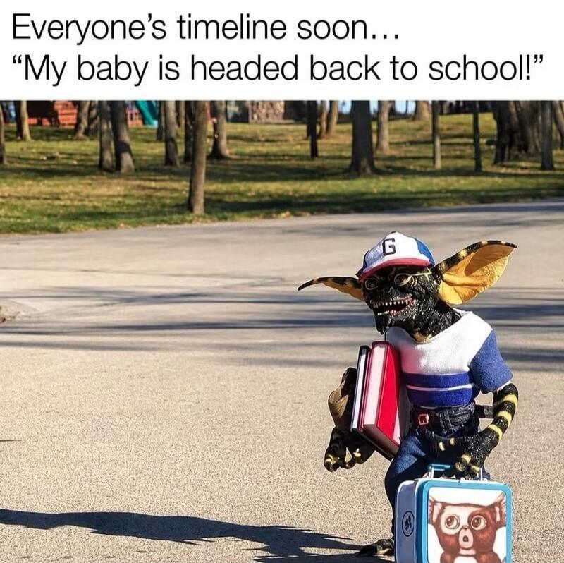 Everyone's timeline soon... 
