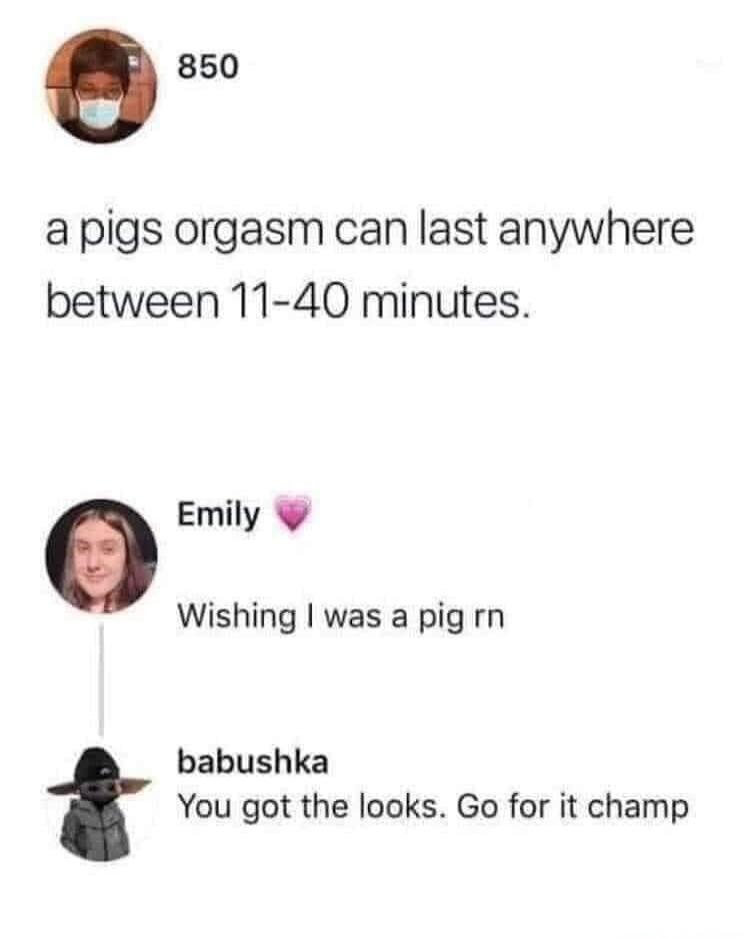 A post states that a pig's orgasm can last anywhere between 11-40 minutes. Emily comments, 'Wishing I was a pig rn'. Babushka replies, 'You got the looks. Go for it champ'.
