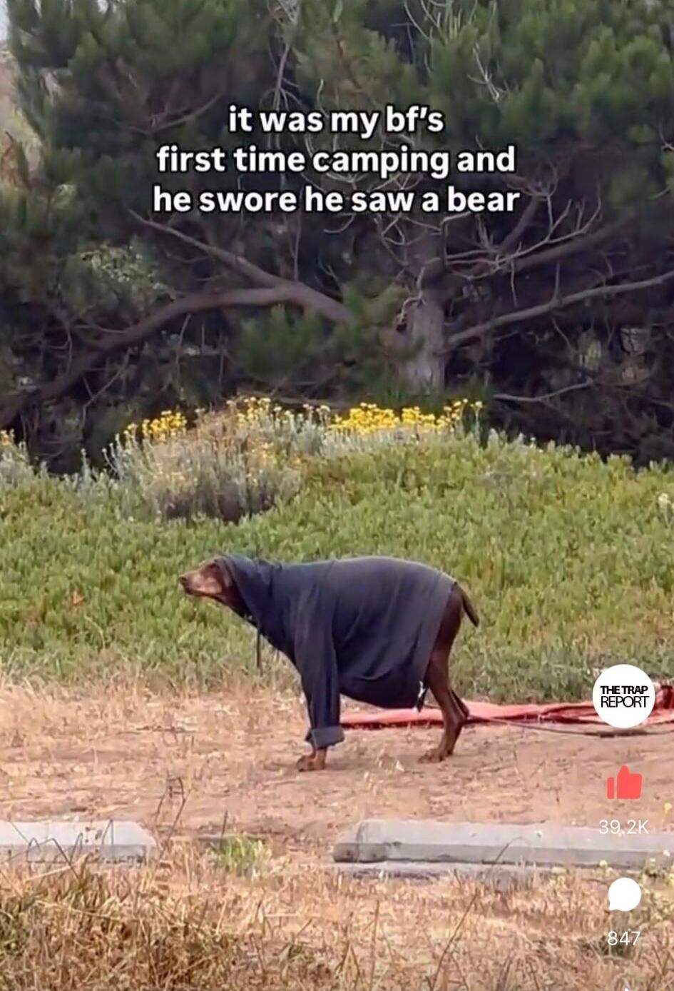 b 4 Ny o 3 B N N itwas 07 L1 first time campl LELL he swore he saw abear