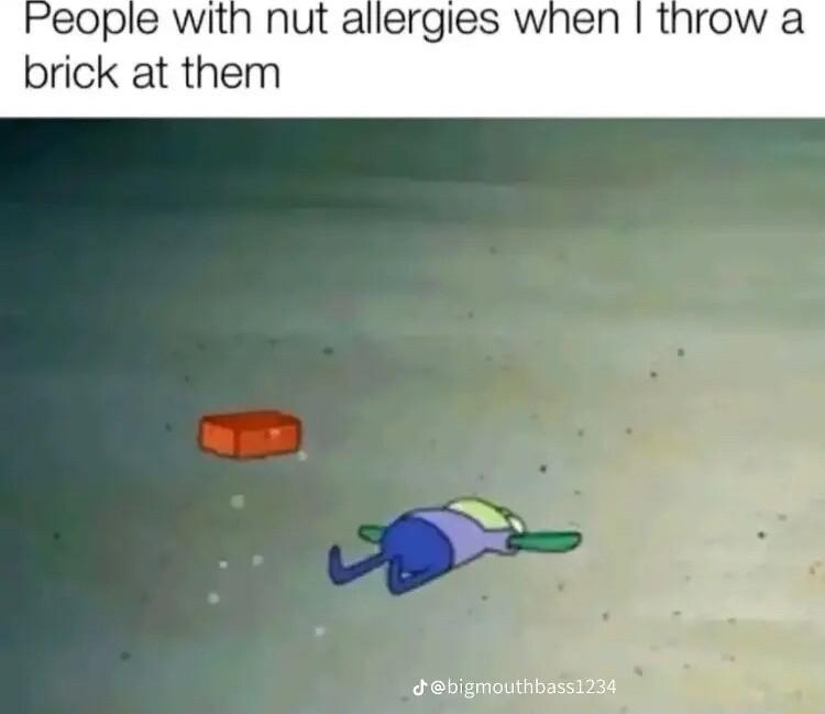 eople with nut allergies when 1l brick at t debigmouthbass12d