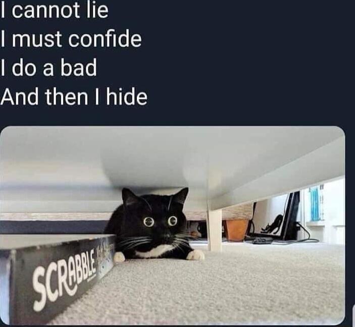 cannot lie W0 aVES Qetealile5 do a bad And then hide