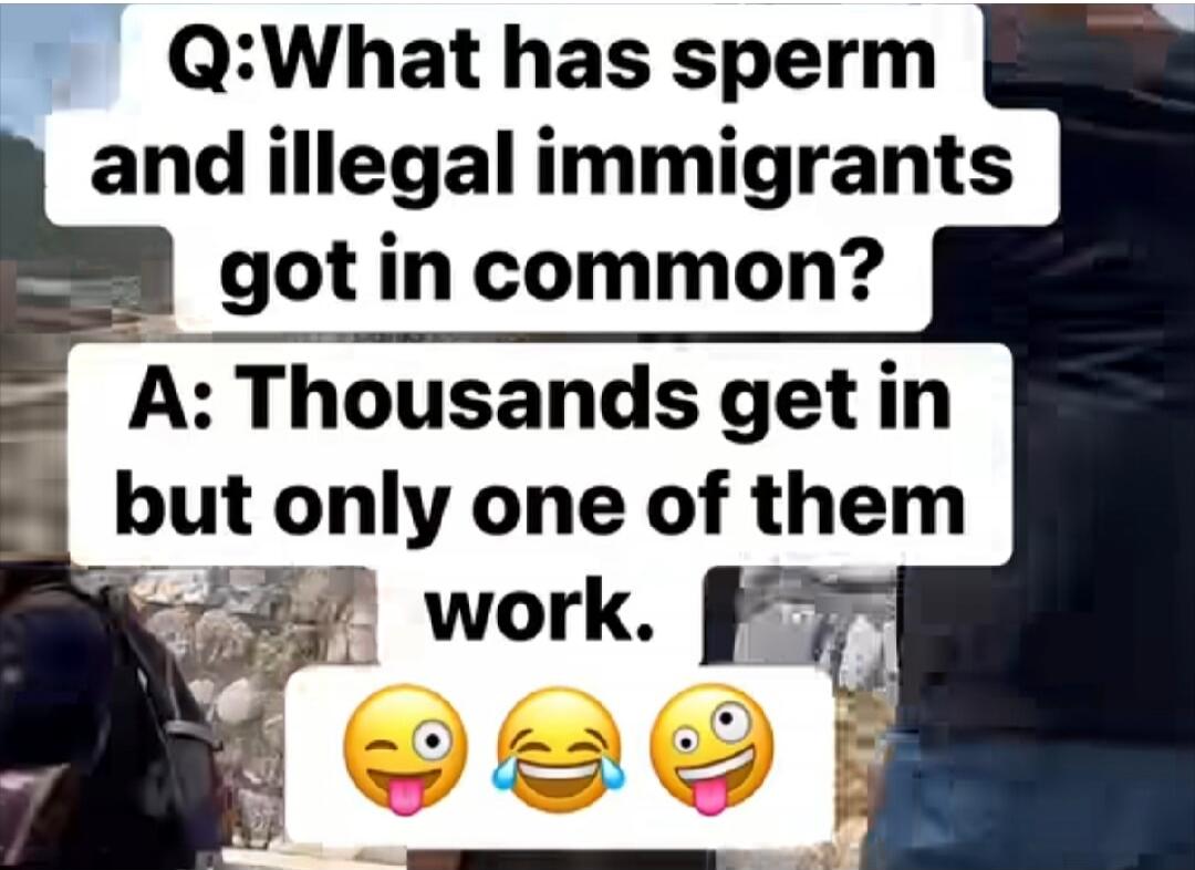 Q: What has sperm and illegal immigrants got in common? A: Thousands get in but only one of them work.