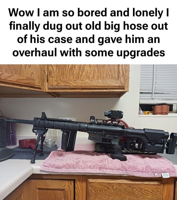 Wow I am so bored and lonely I finally dug out old big hose out of his case and gave him an overhaul with some upgrades