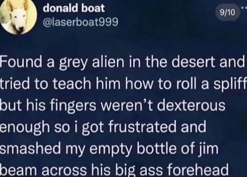 LLUELLLEN o0 GIEREICLEIC L Found a grey alien in the desert and tried to teach him how to roll a spliff but his fingers werent dexterous enough so i got frustrated and smashed my empty bottle of jim beam across his big ass forehead
