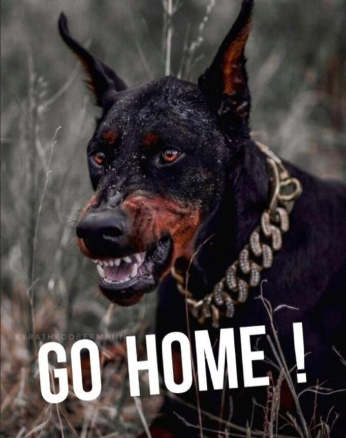 GO HOME!
