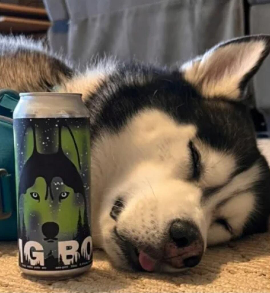 IG BO