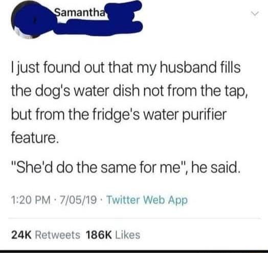 just found out that my husband fills the dogs water dish not from the tap but from the fridges water purifier feature Shed do the same for me he said 120 PM 70519 Twitter Web App 24K Retweets 186K Likes