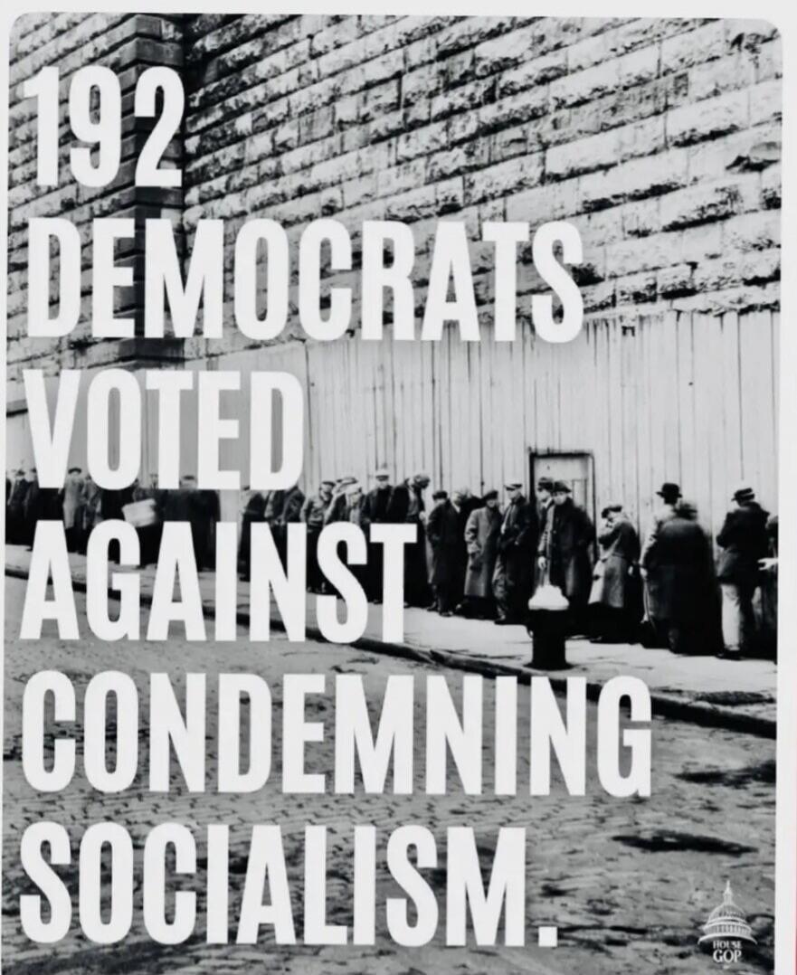 192 DEMOCRATS VOTED AGAINST CONDEMNING SOCIALISM. HOUSE GOP.