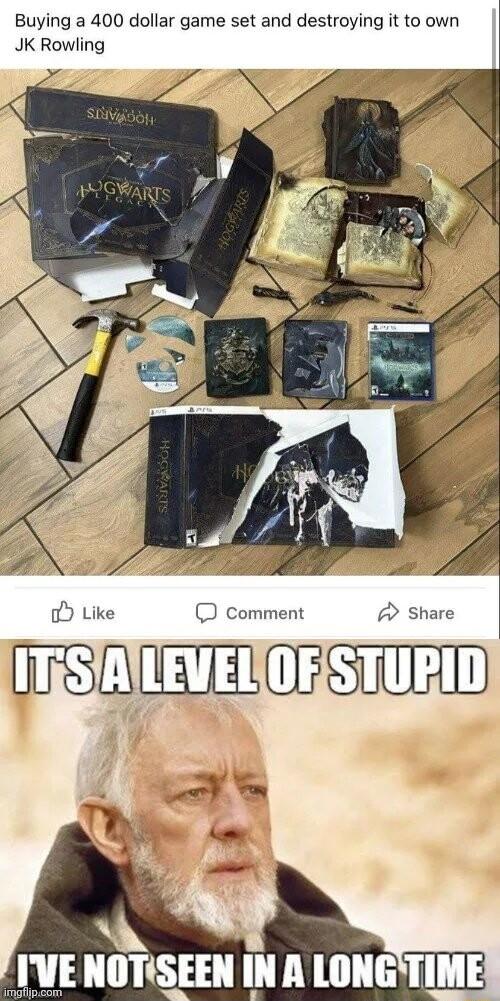 Buying a 400 dollar game set and destroying it to own JK Rowling o Like D comment Share UrSLL 1 WS b N ne IVENOTISEEN IN A LONG