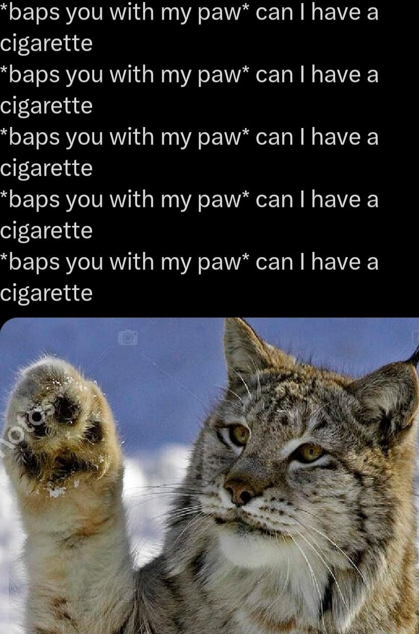 baps you with my paw can have a cigarette baps you with my paw can have a cigarette baps you with my paw can have a cigarette baps you with my paw can have a cigarette baps you with my paw can have a cigarette