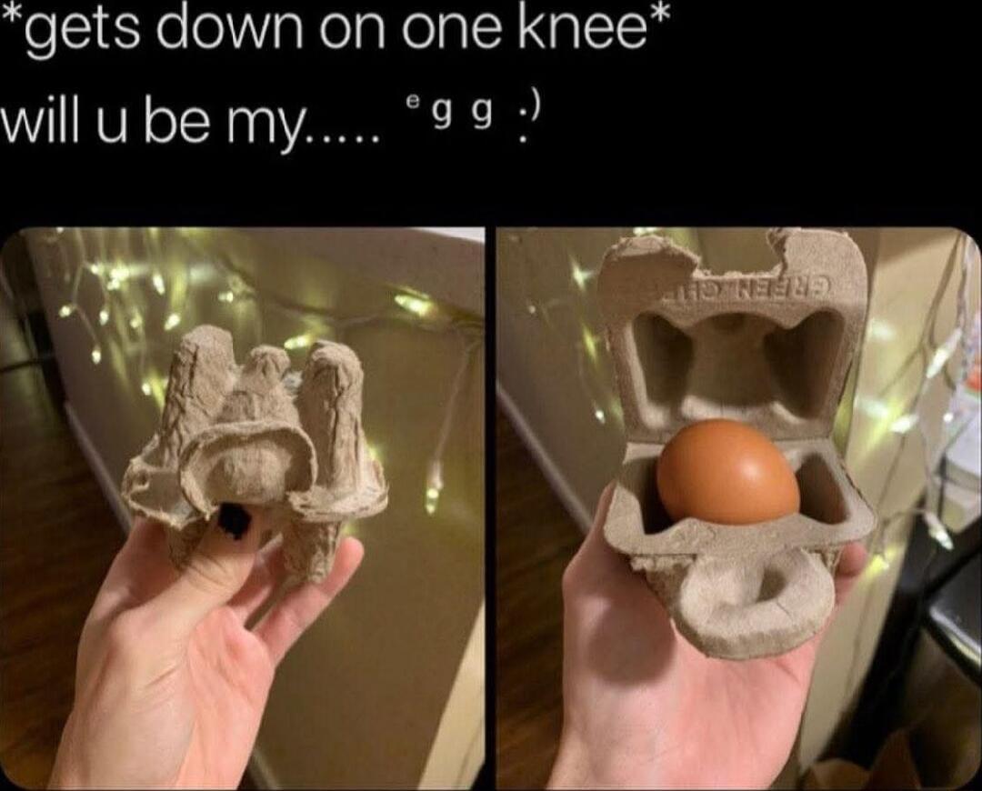 *gets down on one knee*
will u be my..... egg :)