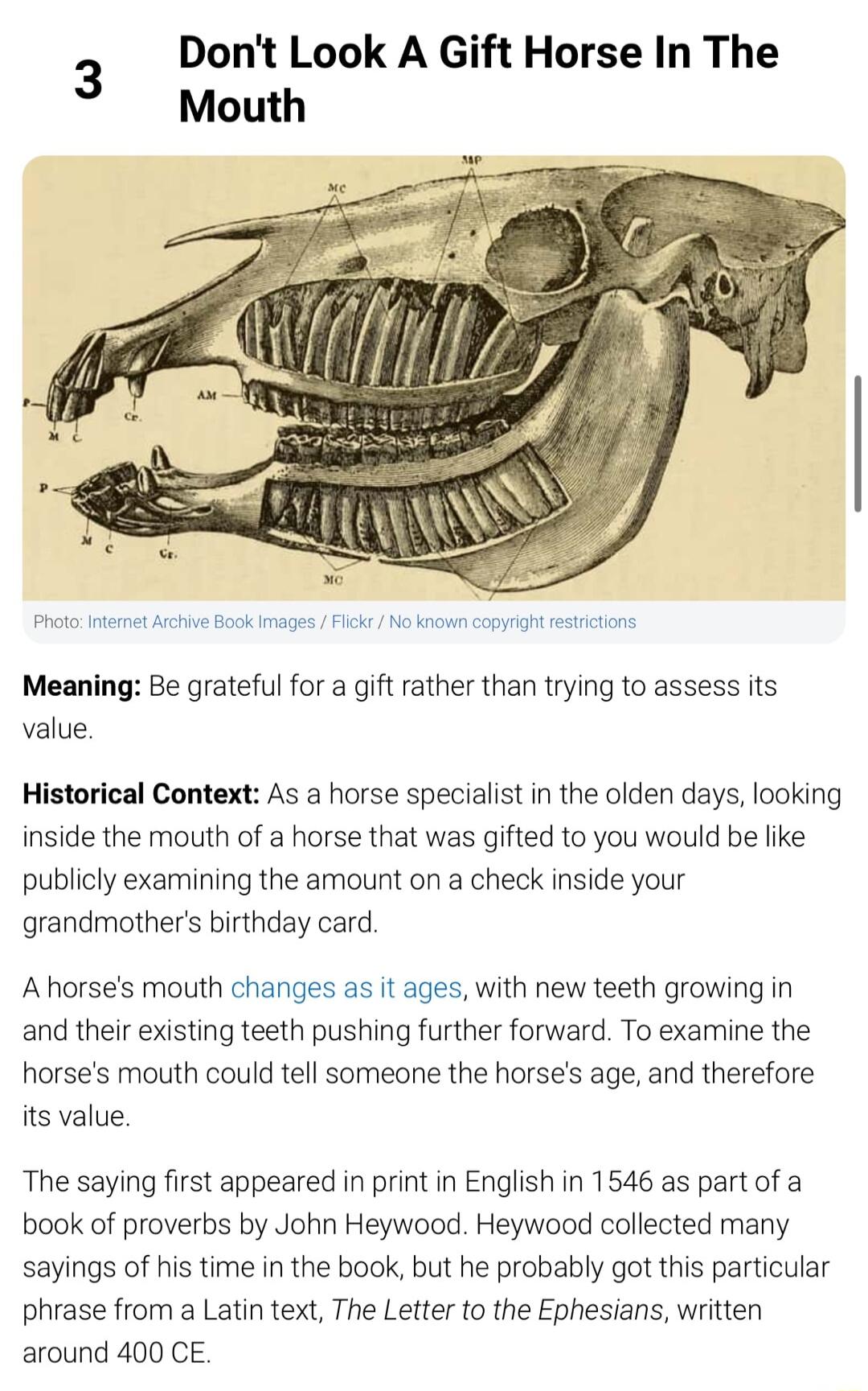 Dont Look A Gift Horse In The Mouth ko No knoun copynt rstctons Meaning Be grateful for a gift rather than trying to assess its value Historical Context As a horse specialist in the olden days looking inside the mouth of a horse that was gifted to you would be like publicly examining the amount on a check inside your grandmothers birthday card Ahorses mouth changes s it ages with new teeth growing