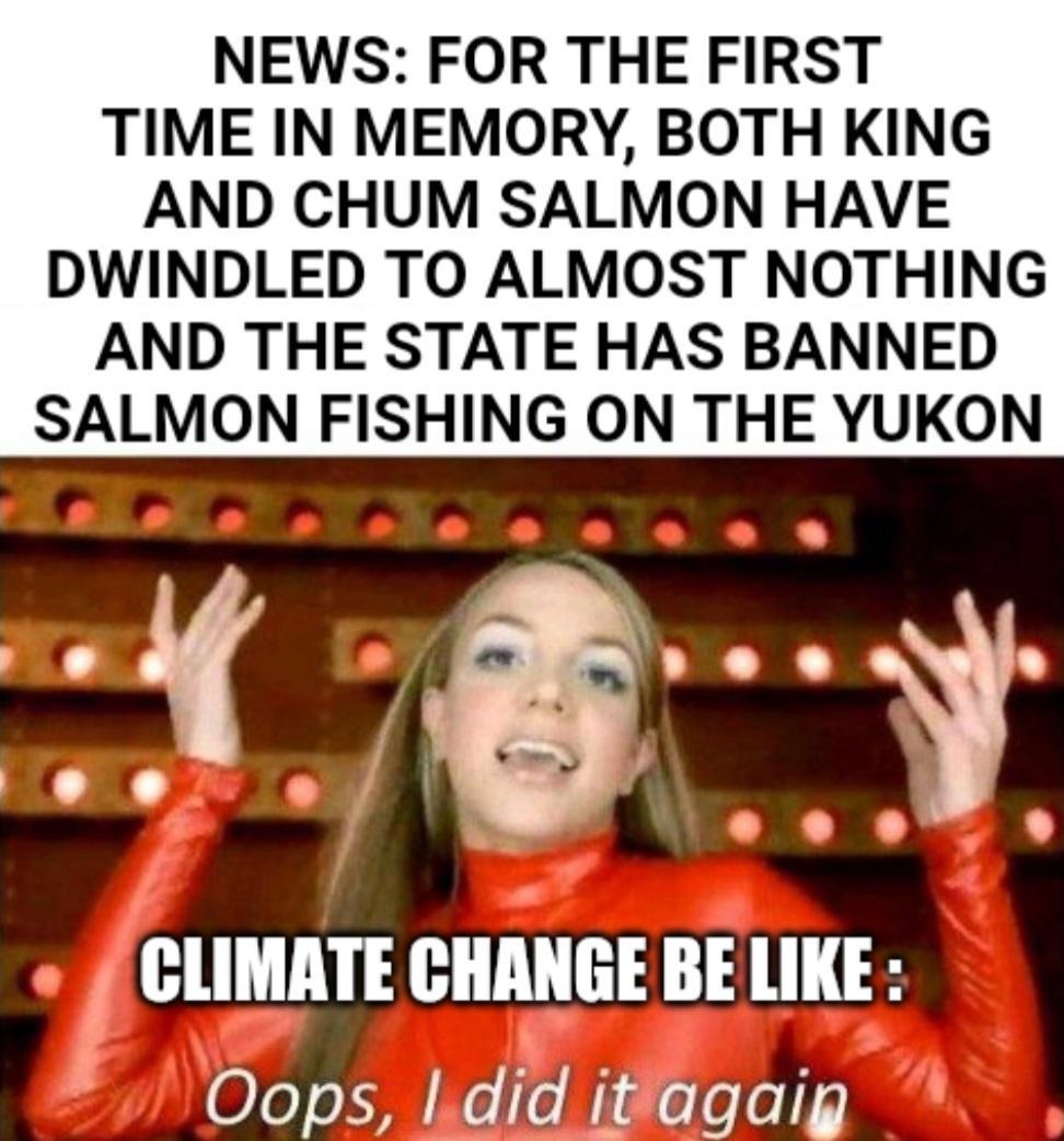 NEWS FOR THE FIRST TIME IN MEMORY BOTH KING AND CHUM SALMON HAVE DWINDLED TO ALMOST NOTHING AND THE STATE HAS BANNED SALMON FISHING ON THE YUKON CLIMATE CHANGE BE LIKE 4 0Js X W o l N1z olelo