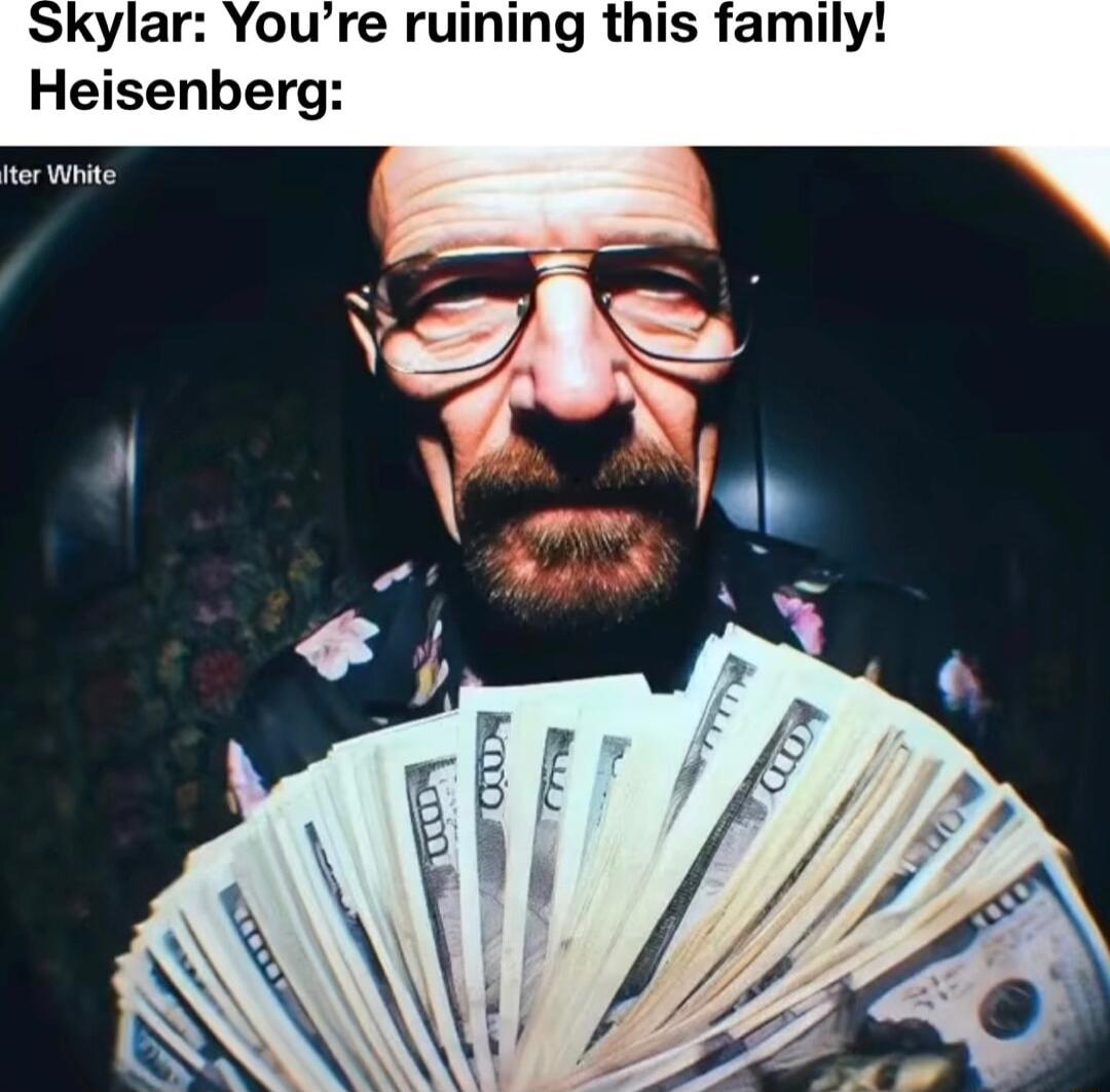 ylar Youre ruining this family Heisenberg