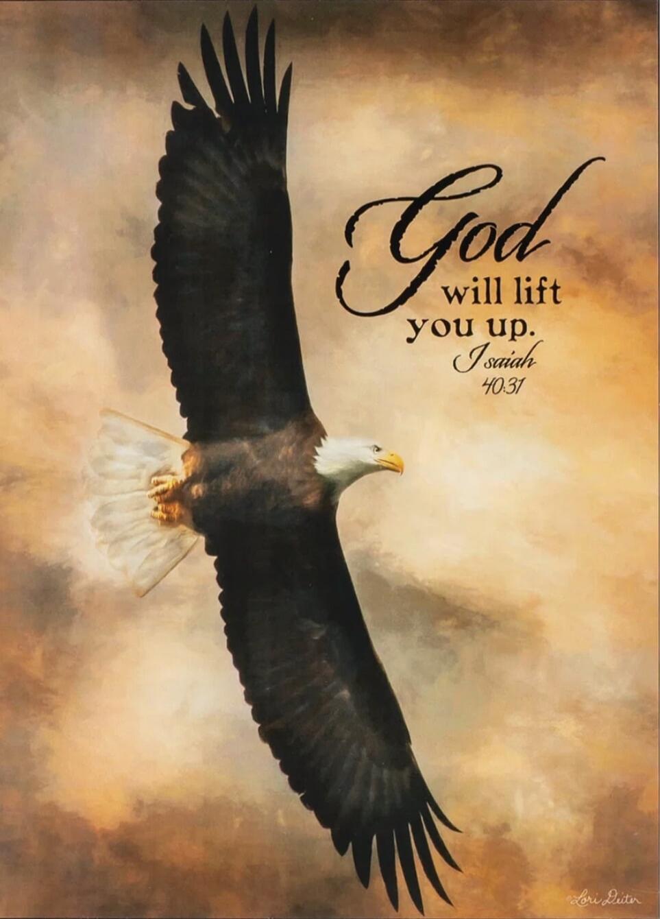 God will lift you up. Isaiah 40:3