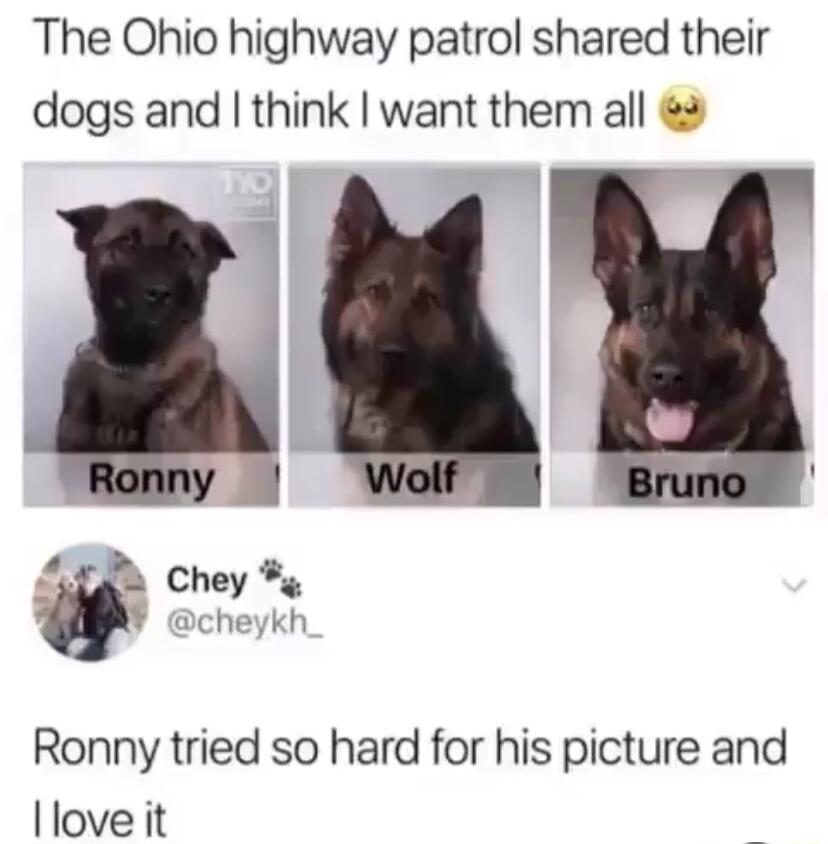 The Ohio highway patrol shared their dogs and think want them all 2 Ronny tried so hard for his picture and love it