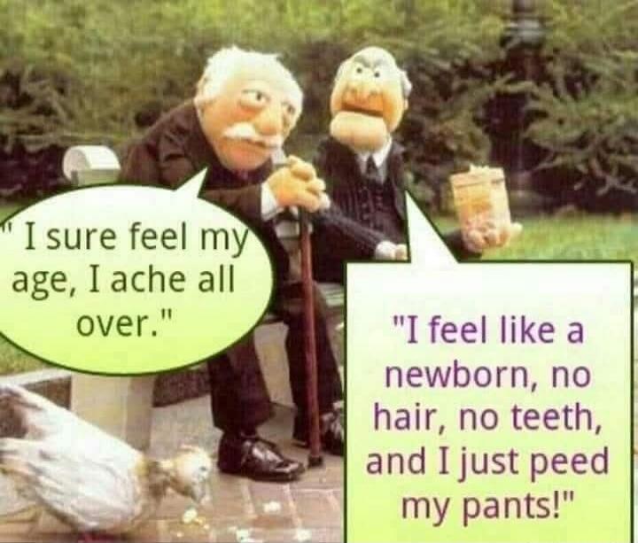 I sure feel my age, I ache all over.
I feel like a newborn, no hair, no teeth, and I just peed my pants!