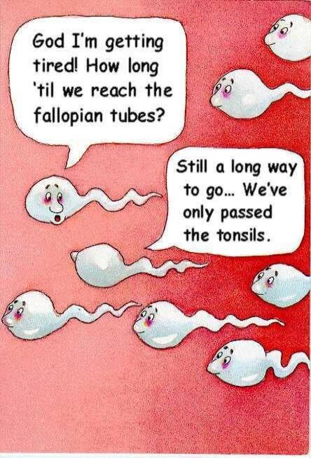 God I'm getting tired! How long 'til we reach the fallopian tubes? Still a long way to go... We've only passed the tonsils.