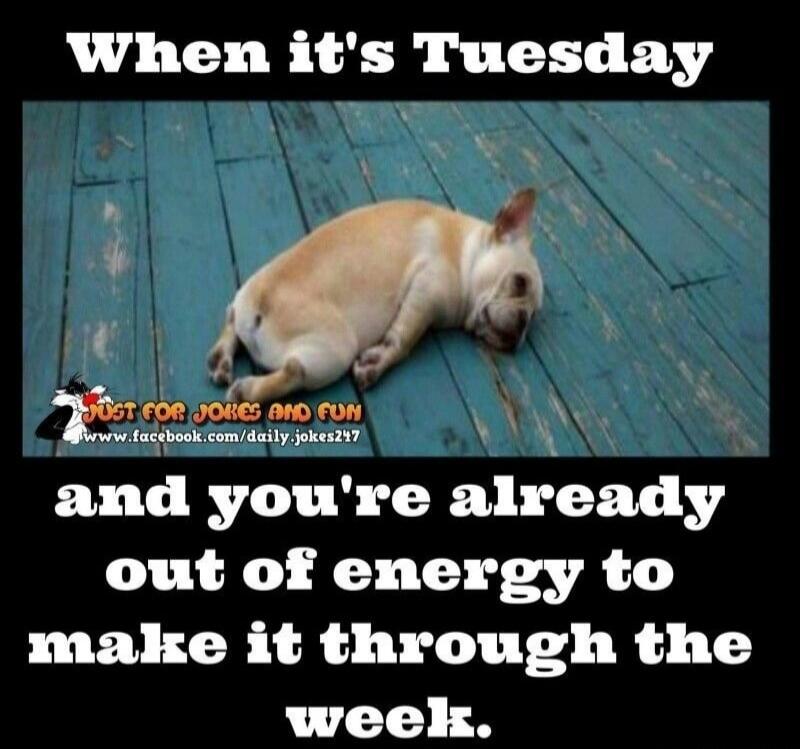 When it's Tuesday and you're already out of energy to make it through the week.