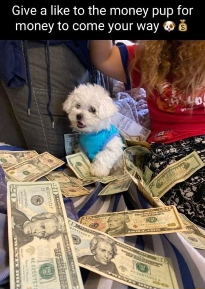 N LCR RGN S oI o R o money to come your way P