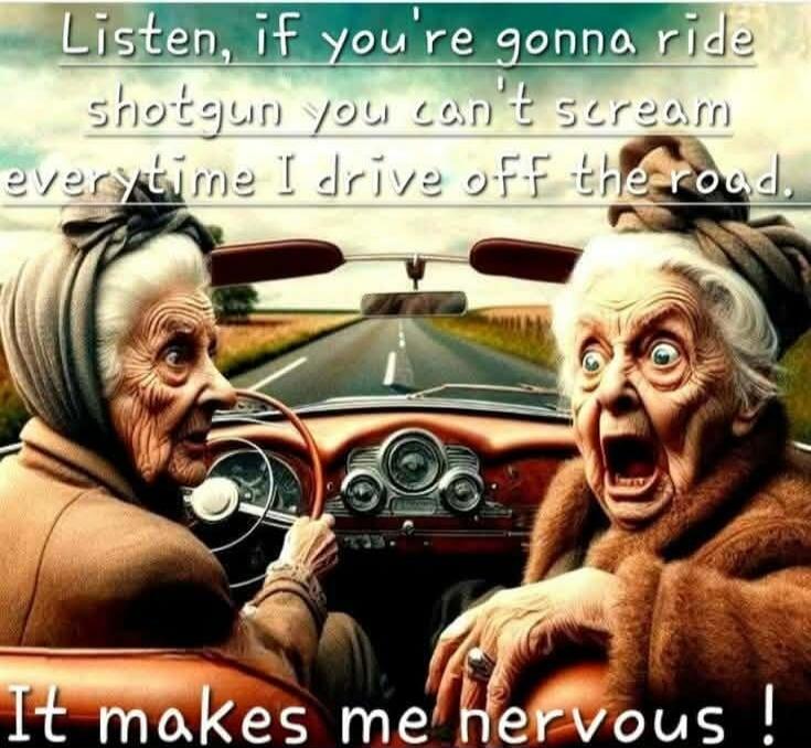 Listen, if you're gonna ride shotgun you can't scream every time I drive off the road. It makes me nervous!