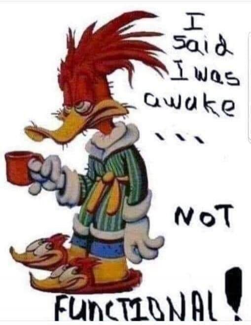 I said I was awake NOT FUNCTIONAL!