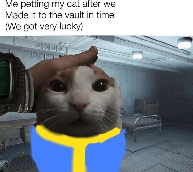 Me petting my cat aiter we Made it to the vault in time We got very lucky