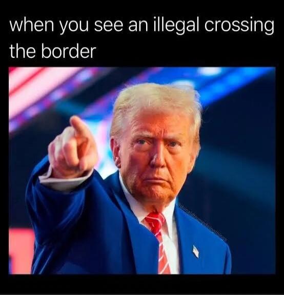 when you see an illegal crossing the border