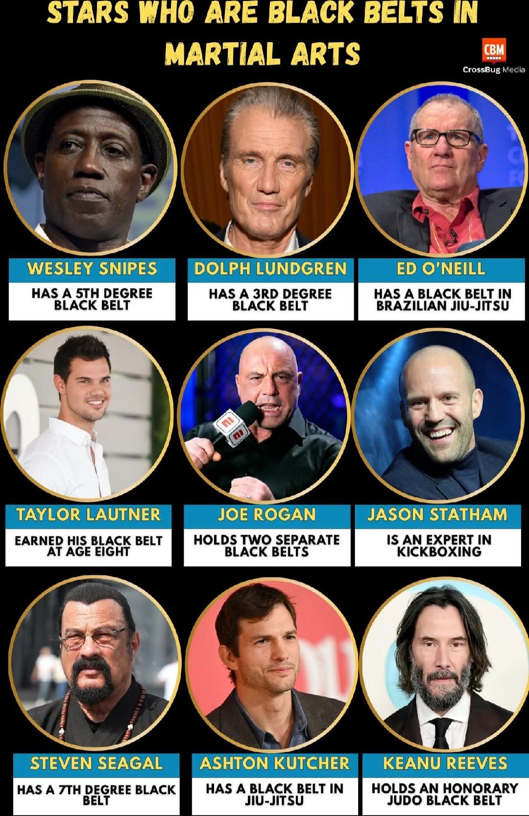 STARS WHO ARE BLACK BELTS IN MARTIAL ARTS
WESLEY SNIPES HAS A 5TH DEGREE BLACK BELT
DOLPH LUNDGREN HAS A 3RD DEGREE BLACK BELT
ED O'NEILL HAS A BLACK BELT IN BRAZILIAN JIU-JITSU
TAYLOR LAUTNER EARNED HIS BLACK BELT AT AGE EIGHT
JOE ROGAN HOLDS TWO SEPARATE BLACK BELTS
JASON STATHAM IS AN EXPERT IN KICKBOXING
STEVEN SEAGAL HAS A 7TH DEGREE BLACK BEL