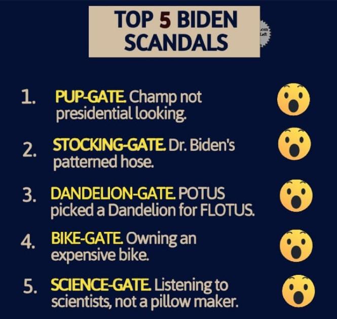 TOP 5 BIDEN SCANDALS 1 PUP GATE Champ not presidential looking STOCKING GATE Dr Bidens pattened hose 3 DANDELION GATE POTUS picked a Dandelion for FLOTUS 4 BIKE GATE Owningan expensive bike 5 SCIENCE GATE Listening to scientists not a pillow maker