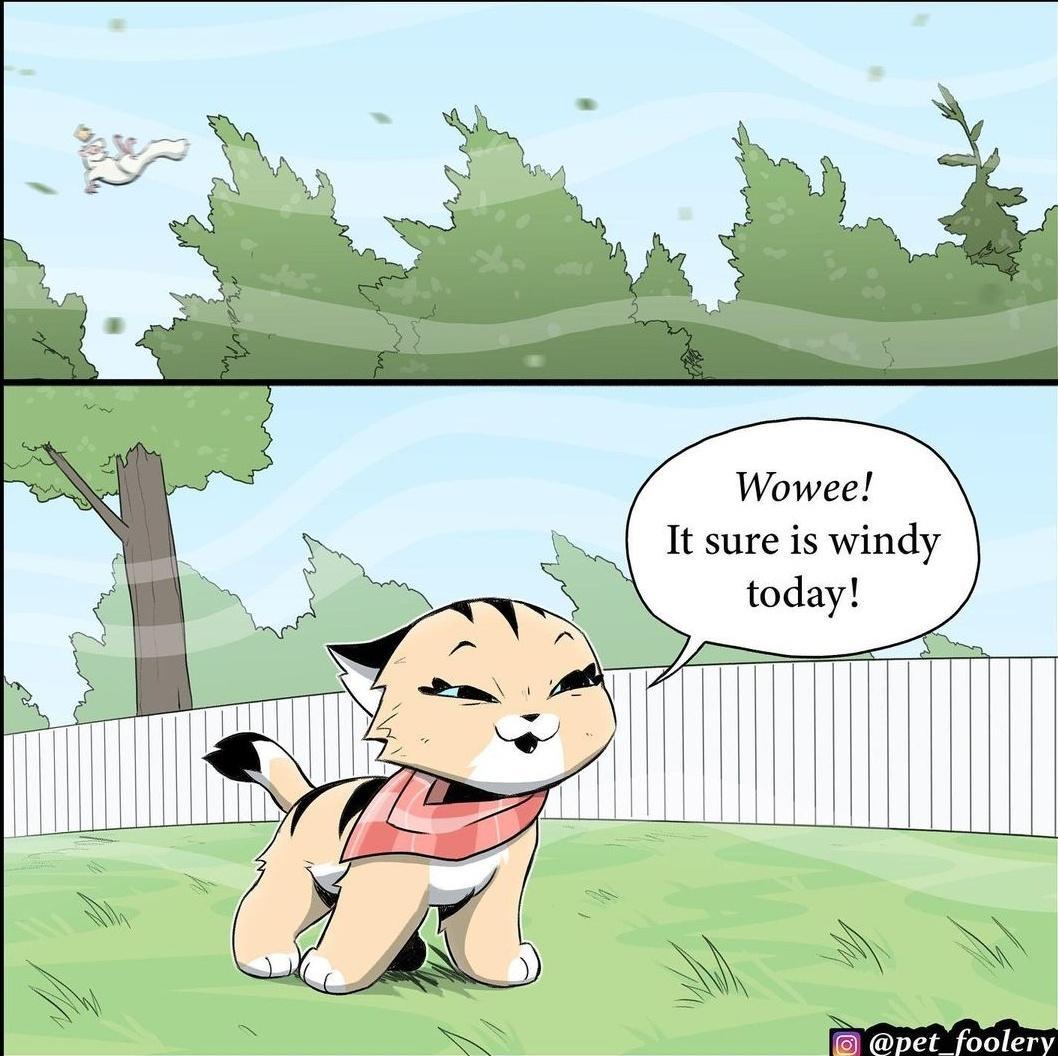 Wowee It sure is windy today b T v