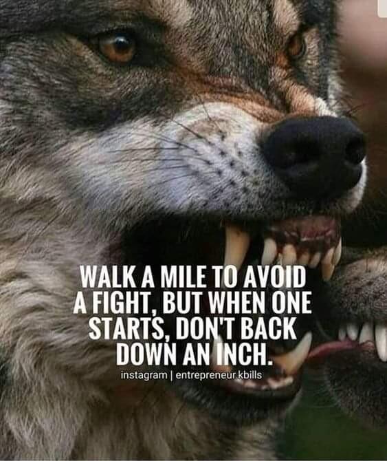 F Yy WALKAMILETOAVOID AFIGHT BUTWHENONE STARTS DONTBACK 11 DOWN ANINCH o instagram entreprenelrbills grom enteprencligbils o