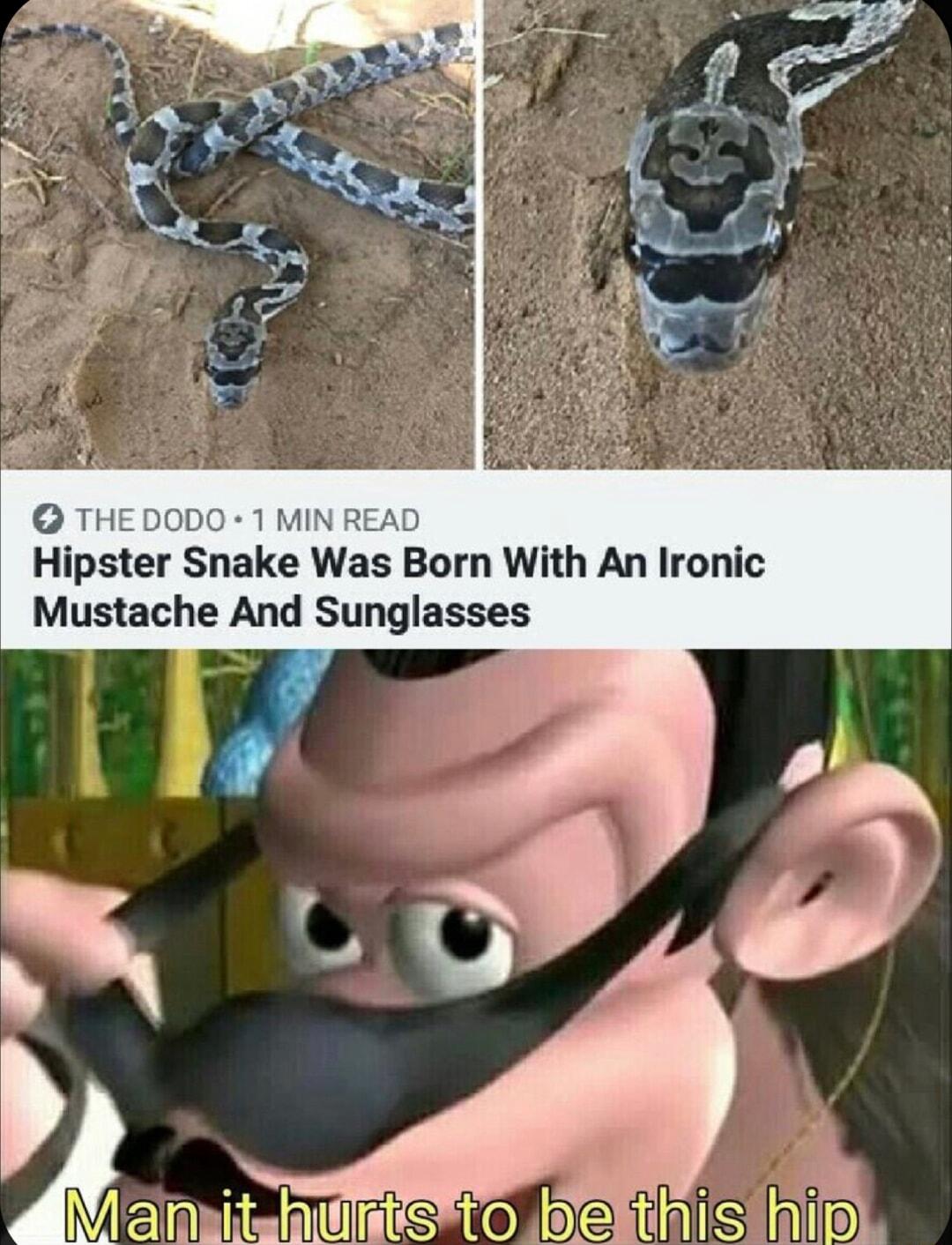 THEDODO Hipster Snake Was Born With An Ironic Mustache And Sunglasses