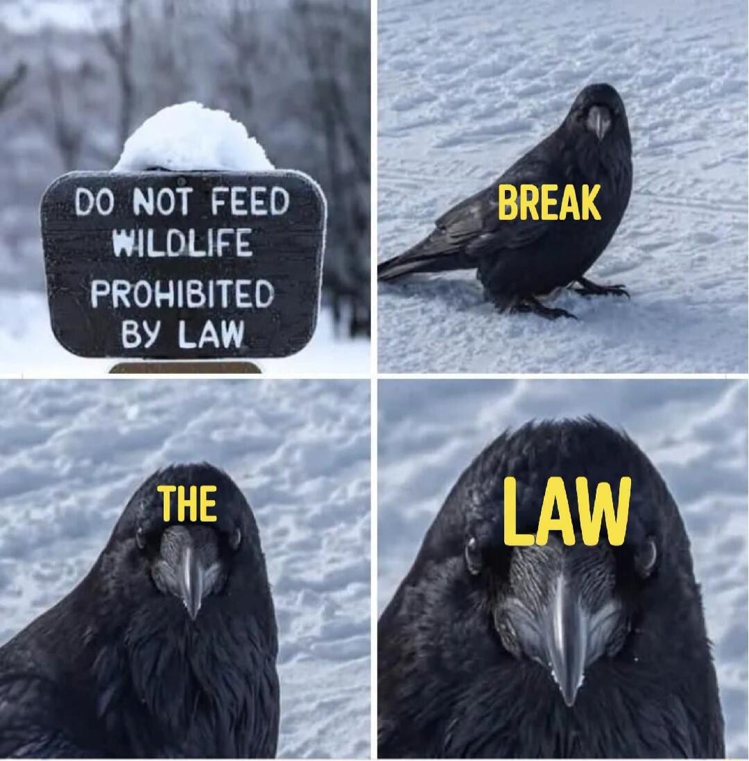 DO NOT FEED WILDLIFE PROHIBITED BY LAW BREAK THE LAW