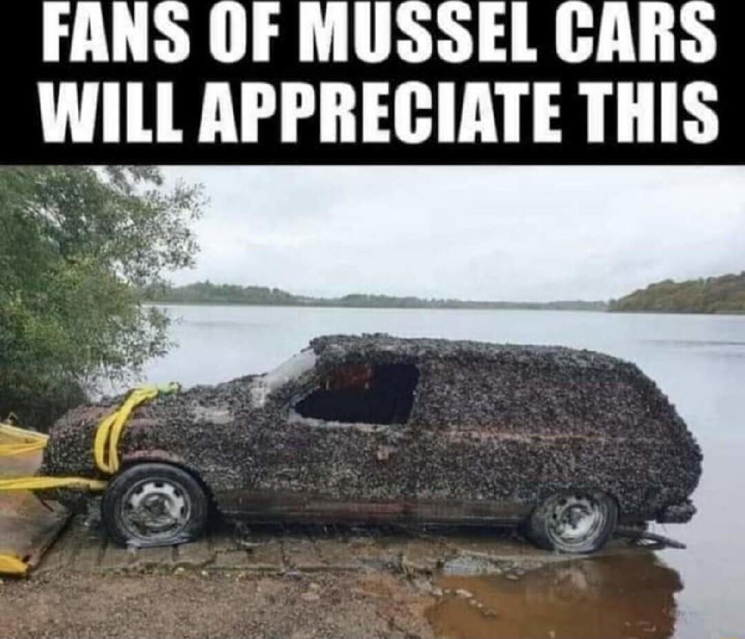 FANS OF MUSSEL CARS WILL APPRECIATE THIS