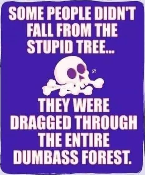 Some people didn't fall from the stupid tree... they were dragged through the entire dumbass forest.