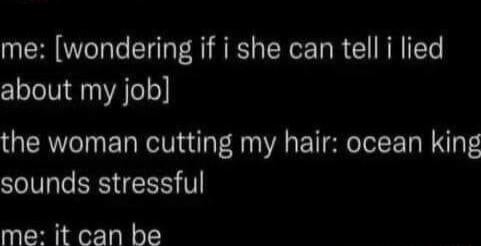 me wondering if i she can tell i lied about my job the woman cutting my hair ocean king sounds stressful me it can be