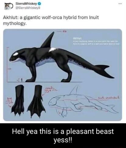 gigantic wolf orca hybrid from Inuit REIRCEER QI Nl CEEET TR yess