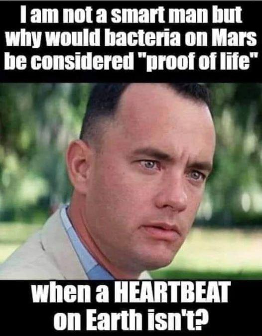 I am not a smart man but why would bacteria on Mars be considered proof of life when a HEARTBEAT on Earthisnt