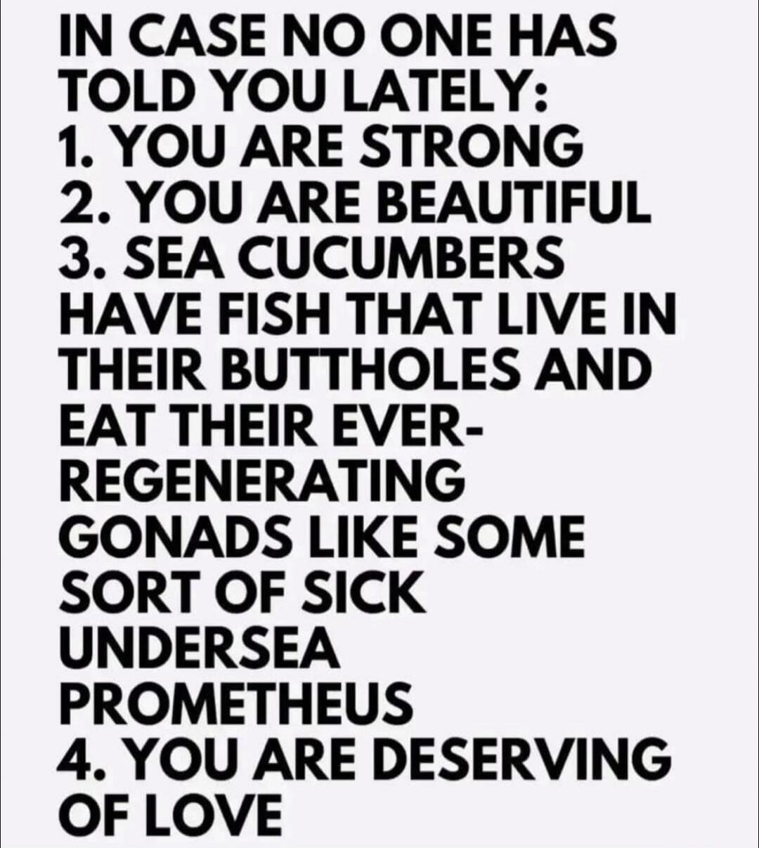 IN CASE NO ONE HAS TOLD YOU LATELY:
1. YOU ARE STRONG
2. YOU ARE BEAUTIFUL
3. SEA CUCUMBERS HAVE FISH THAT LIVE IN THEIR BUTTHOLES AND EAT THEIR EVER-REGENERATING GONADS LIKE SOME SORT OF SICK UNDERSEA PROMETHEUS
4. YOU ARE DESERVING OF LOVE