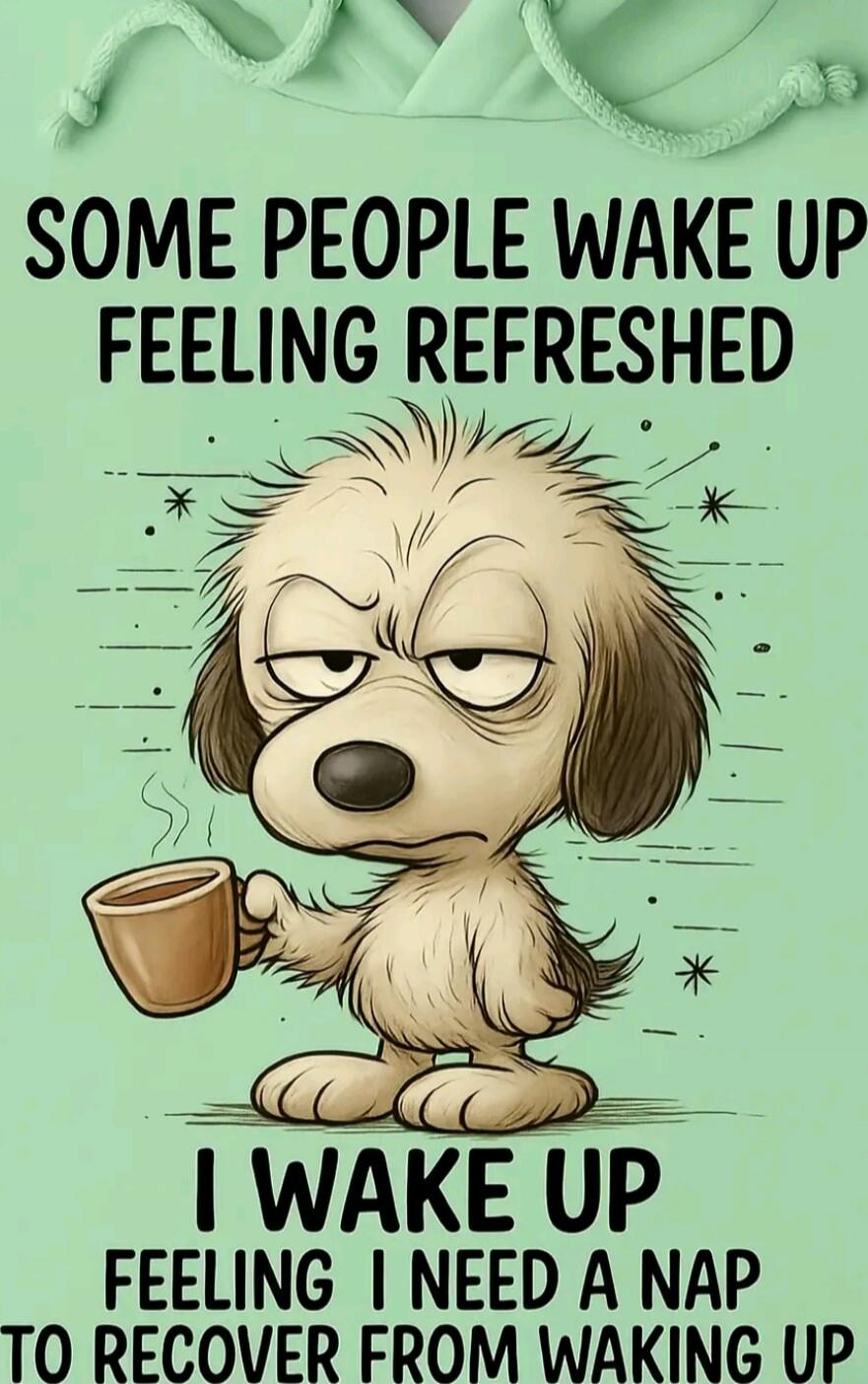 SOME PEOPLE WAKE UP FEELING REFRESHED I WAKE UP FEELING I NEED A NAP TO RECOVER FROM WAKING UP