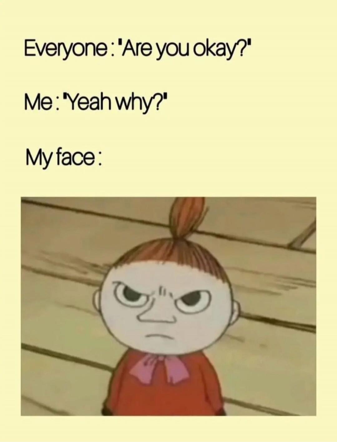 Everyone: 'Are you okay?' Me: 'Yeah why?' My face: