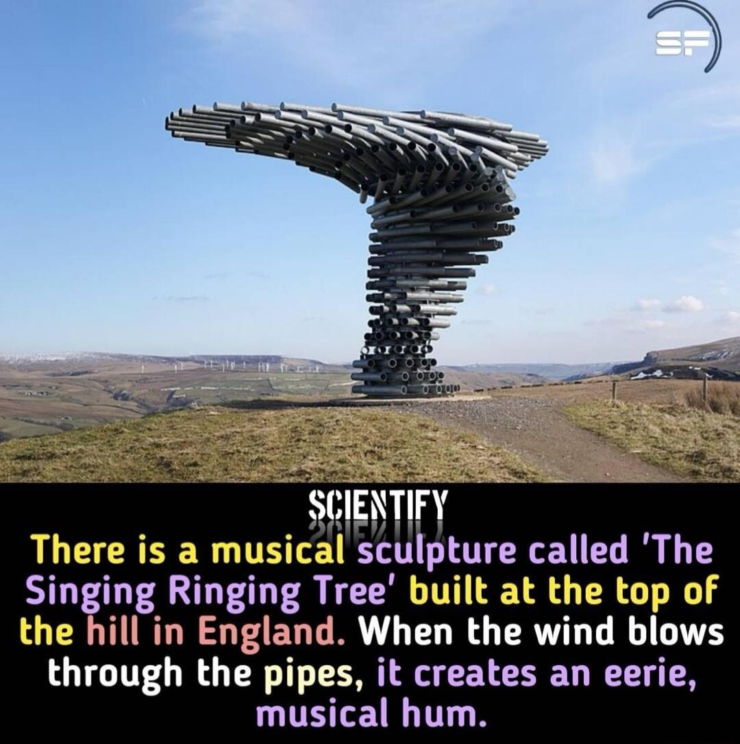 CIENTIFY LLCIERHERTTHT sculpture called The Singing Ringing Tree built at the top of the hill in England When the wind blows through the pipes it creates an eerie THTET TN