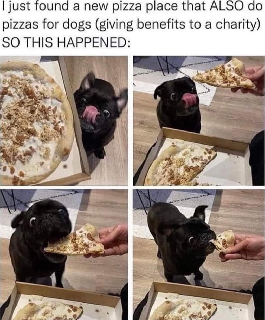 Ijust found a new pizza place that ALSO do pizzas for dogs giving benefits to a charity SO THIS HAPPENED N