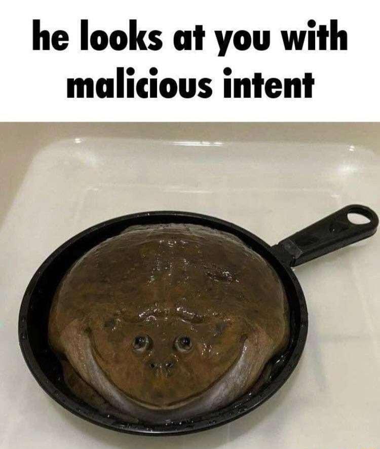 he looks at you with malicious intent