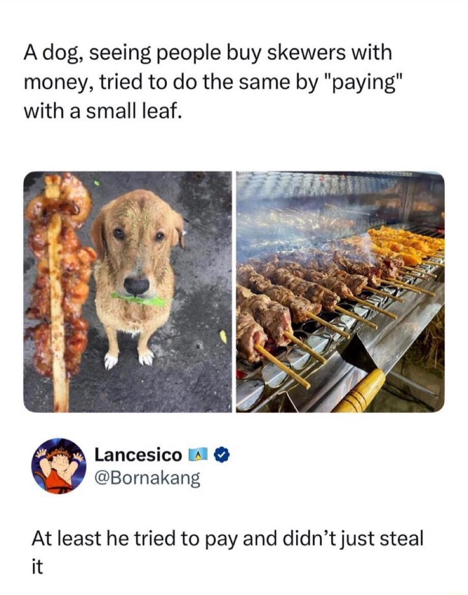 A dog, seeing people buy skewers with money, tried to do the same by 
