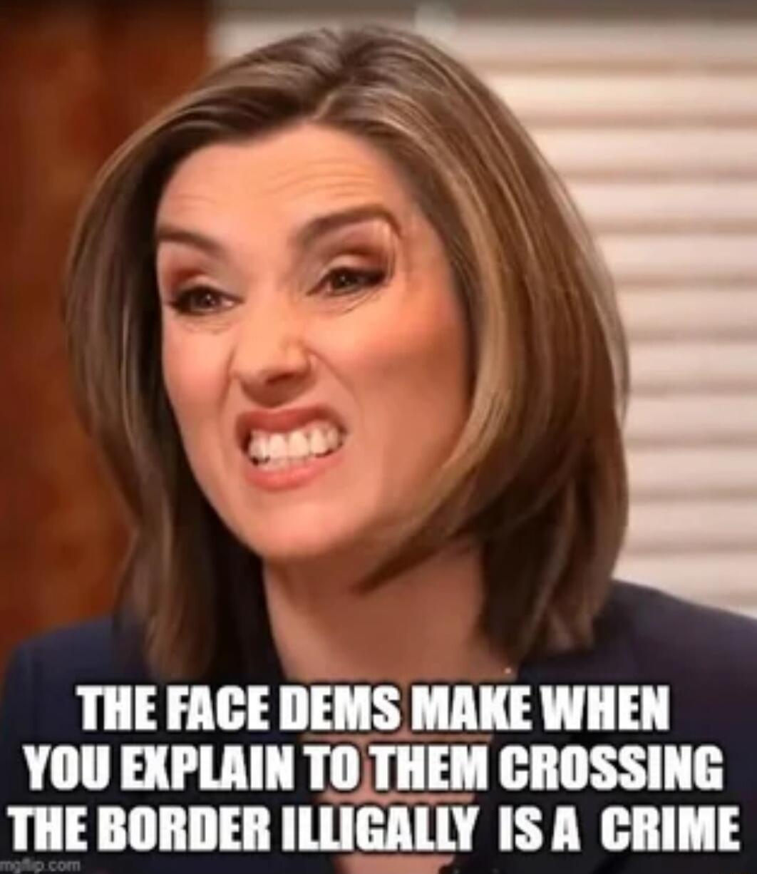 THE FACE DEMS MAKE WHEN YOU EXPLAIN TOTHEM CROSSING THE BORDER ILLIGALLY IS A CRIME A