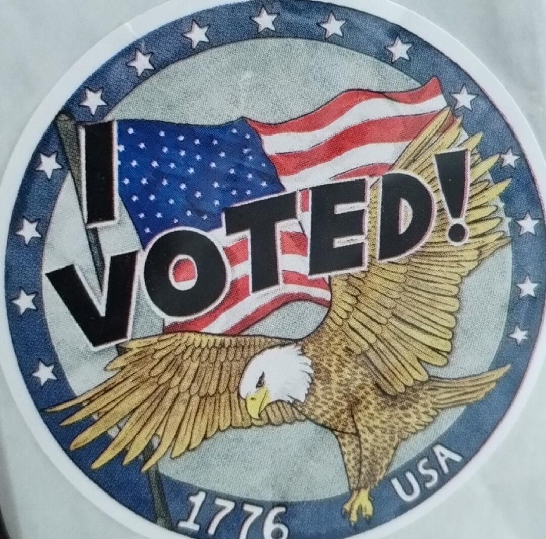 I VOTED! 1776 USA