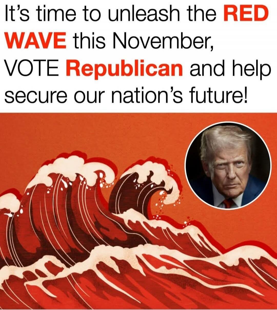 It's time to unleash the RED WAVE this November, VOTE Republican and help secure our nation's future!